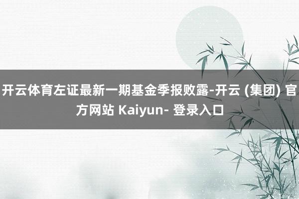 开云体育左证最新一期基金季报败露-开云 (集团) 官方网站 Kaiyun- 登录入口