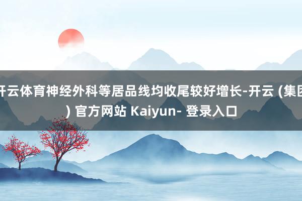 开云体育神经外科等居品线均收尾较好增长-开云 (集团) 官方网站 Kaiyun- 登录入口
